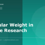 Peptide amino acid sequence diagram with molecular weight calculation for research