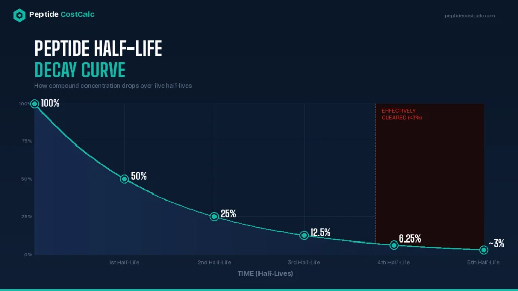 peptide half-life decay curve showing concentration drop over five half-lives